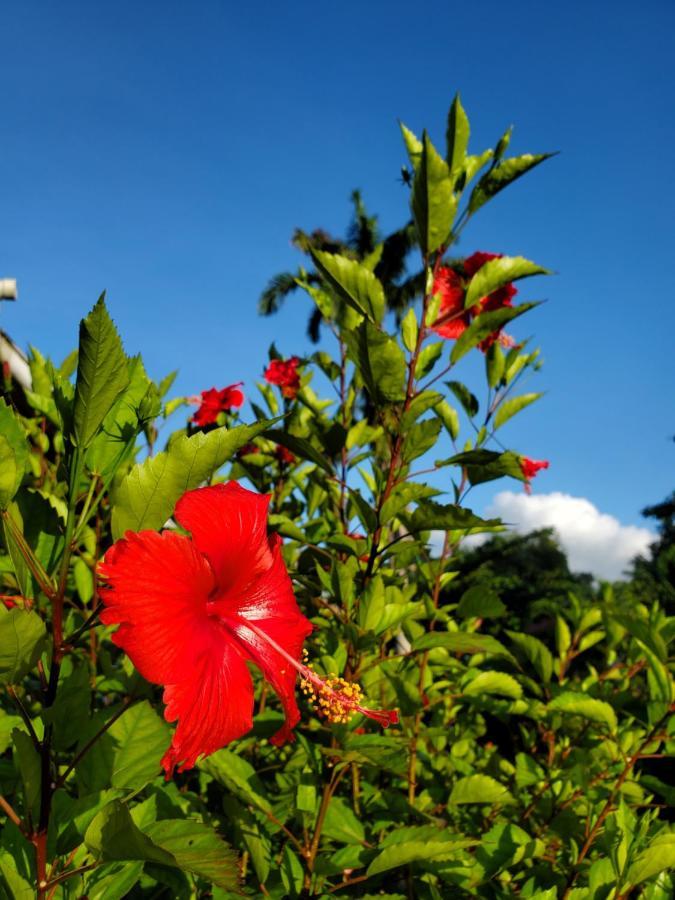 La Diguoise Hotel La Digue Kültér fotó