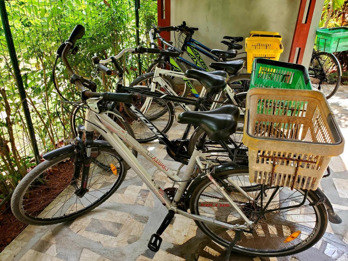 La Diguoise Hotel La Digue Kültér fotó